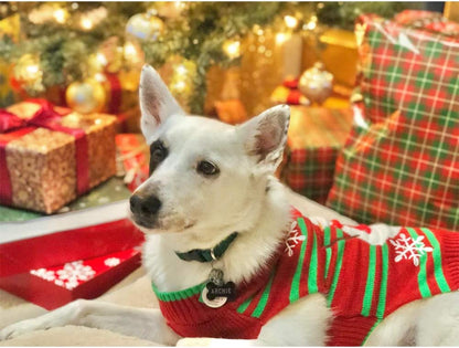 Dog Snow Sweaters for Small Dogs and Cats - Holiday Collection (Snowman, XXS)