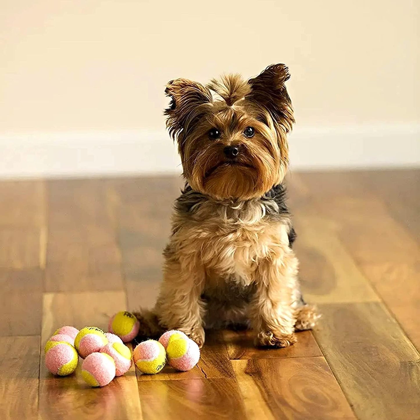 X-Small 1.5" Dog Tennis Balls – Pack of 12