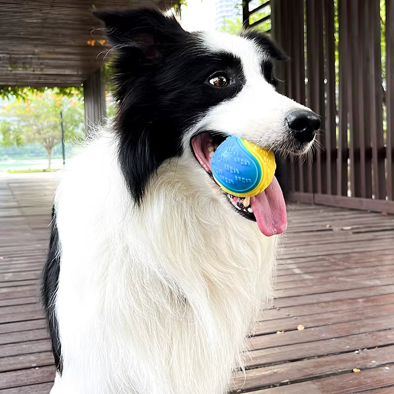 Interactive Soft TPR Dog Toys for Dental Care and Bite Resistance - Squeaky Ball for Pets