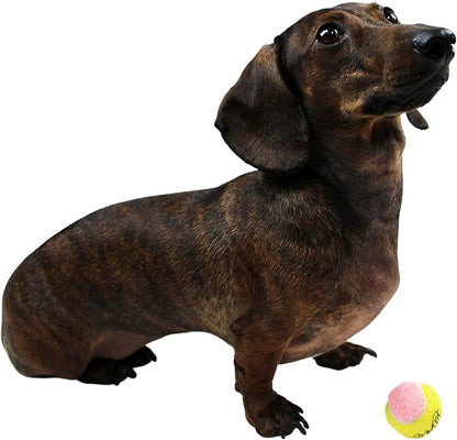 X-Small 1.5" Dog Tennis Balls – Pack of 12