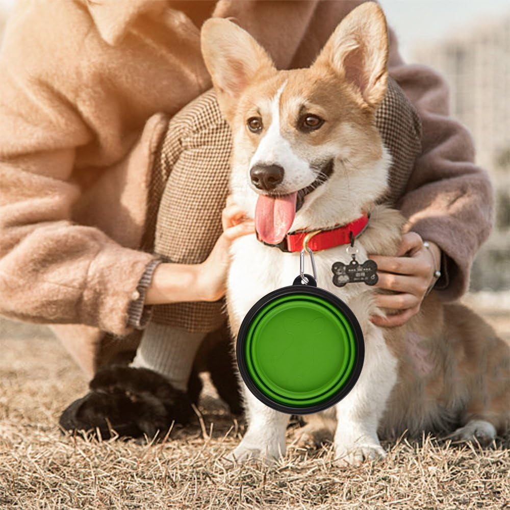 Large 34 oz Collapsible Dog Bowls with Carabiner Clips – Portable Travel Food & Water Bowls, 2-Pack, Green & Blue
